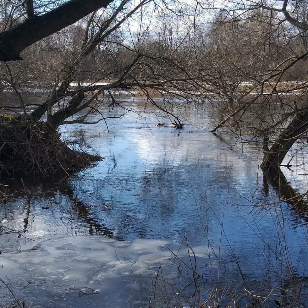 как ловить спиннингом ранней весной в половодье (1).jpg